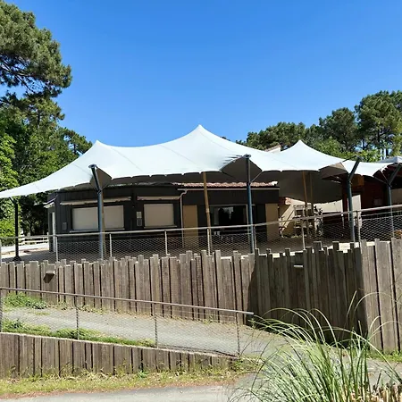 キャンプ場 Les Pins De La Coubre 3*