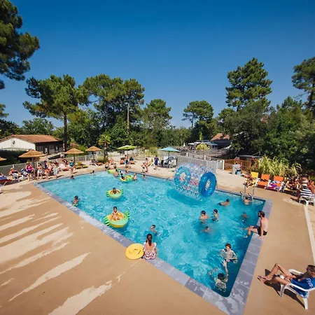 Les Pins De La Coubre *