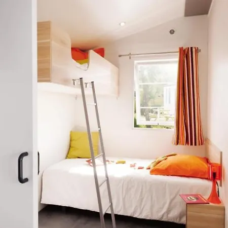 Les Pins De La Coubre