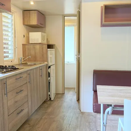 Les Pins De La Coubre