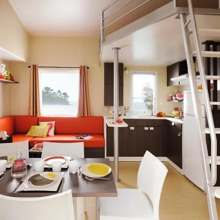 Les Pins De La Coubre