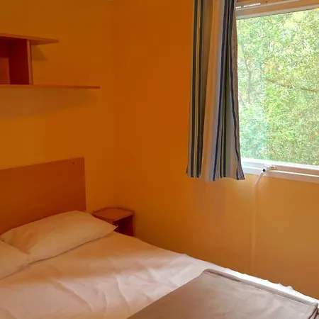 Les Pins De La Coubre Les Mathes