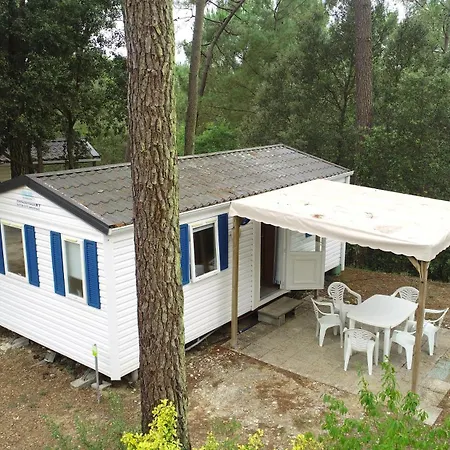 Les Pins De La Coubre Les Mathes