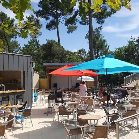 Les Pins De La Coubre