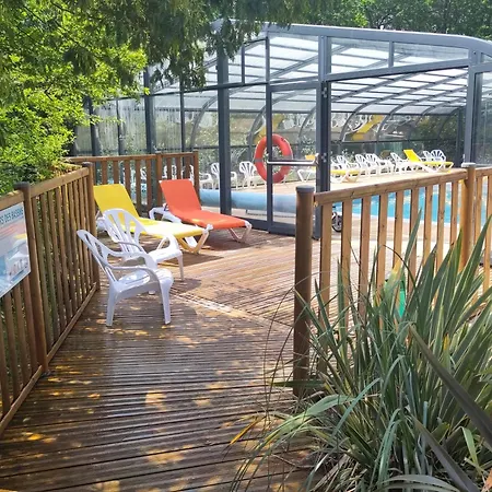 Les Pins De La Coubre