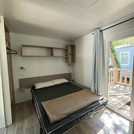 Les Pins De La Coubre