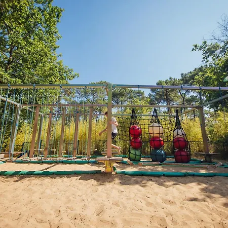 Les Pins De La Coubre Les Mathes