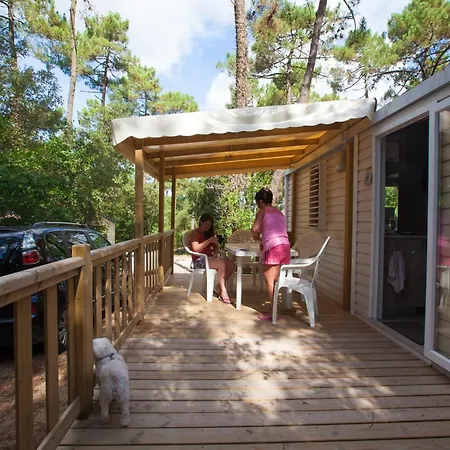 Les Pins De La Coubre Les Mathes