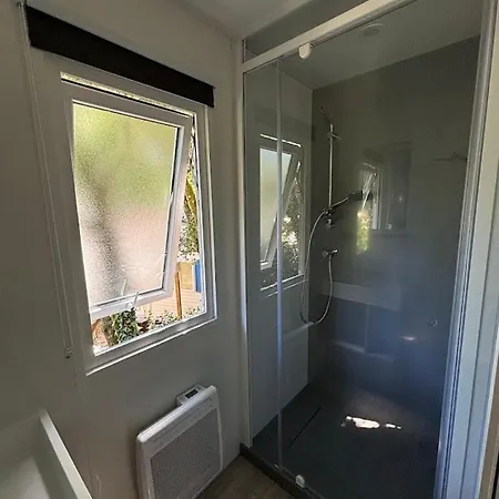 Les Pins De La Coubre