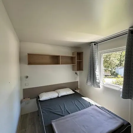 Les Pins De La Coubre