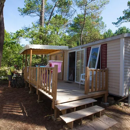 Les Pins De La Coubre Les Mathes