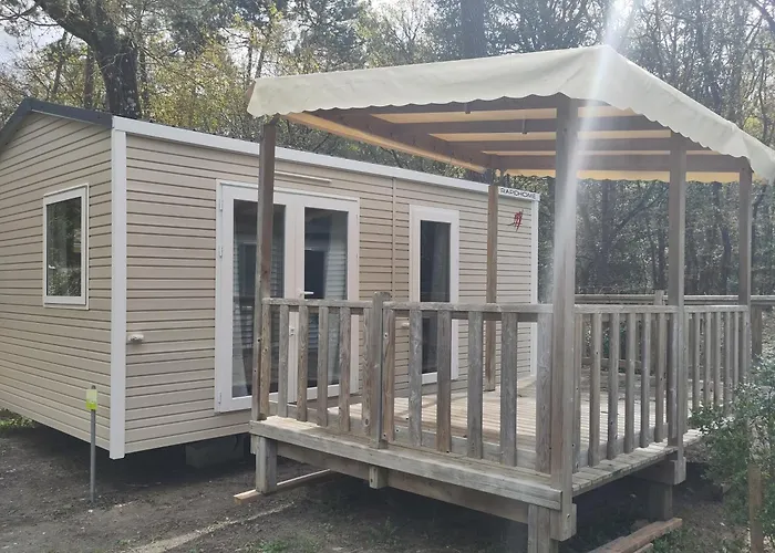 Les Pins De La Coubre Les Mathes