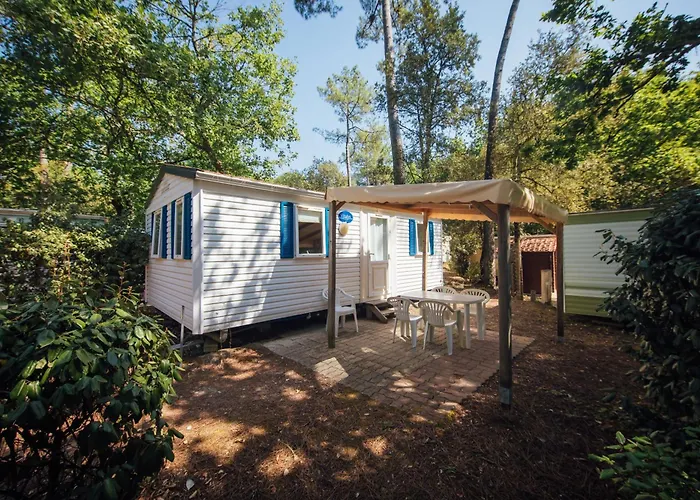 Les Pins De La Coubre Camping 3*