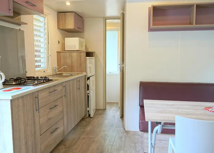 Les Pins De La Coubre