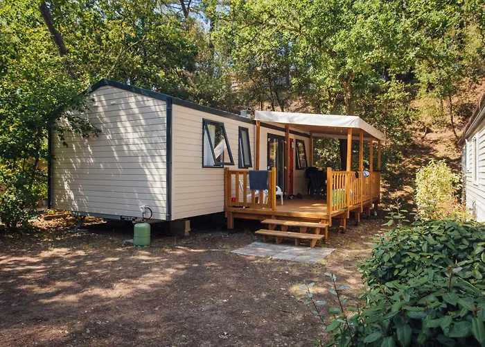 Les Pins De La Coubre 3*