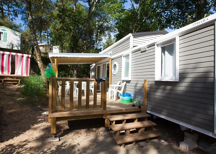 Les Pins De La Coubre 3*