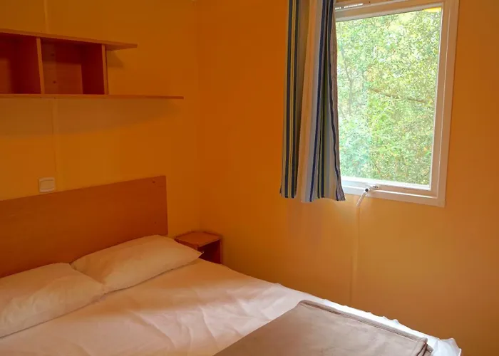 Les Pins De La Coubre Les Mathes