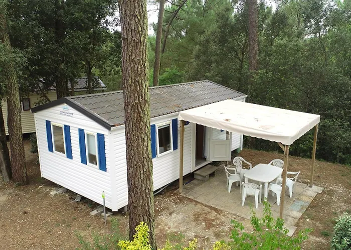 Les Pins De La Coubre Les Mathes