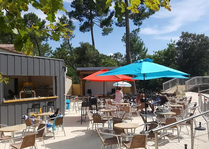 Les Pins De La Coubre