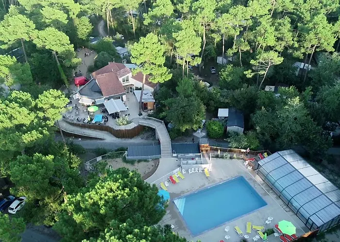 Les Pins De La Coubre Camping 3*