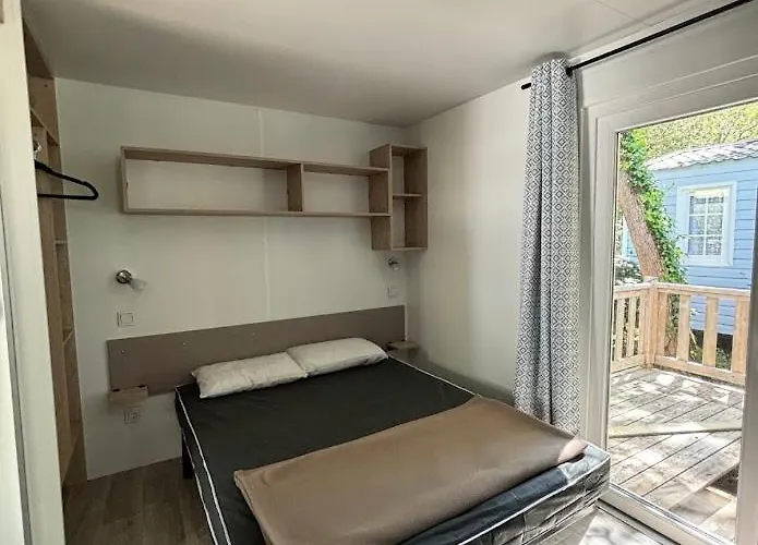 Les Pins De La Coubre