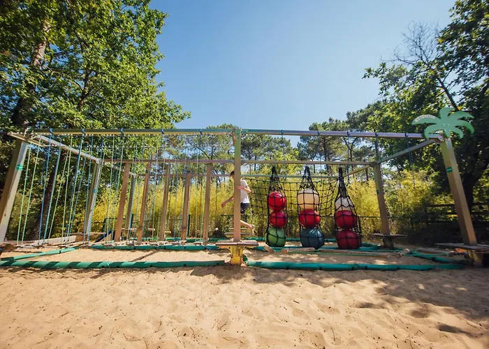 Les Pins De La Coubre Les Mathes