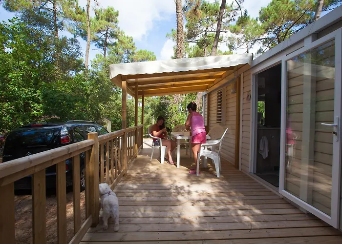 Les Pins De La Coubre Les Mathes