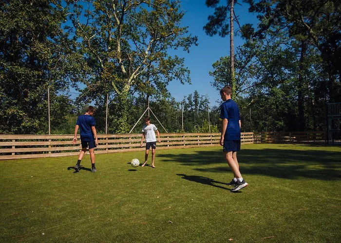 Les Pins De La Coubre 3*