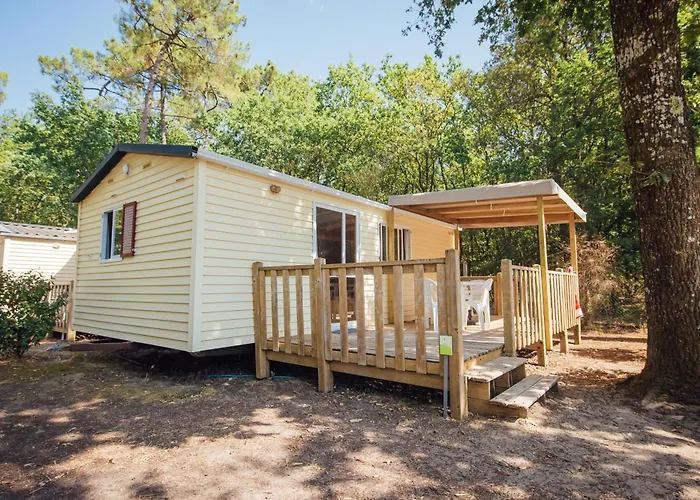 Les Pins De La Coubre Camping