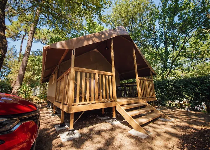 Camping Les Pins De La Coubre 3*