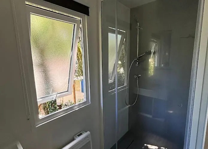 Les Pins De La Coubre