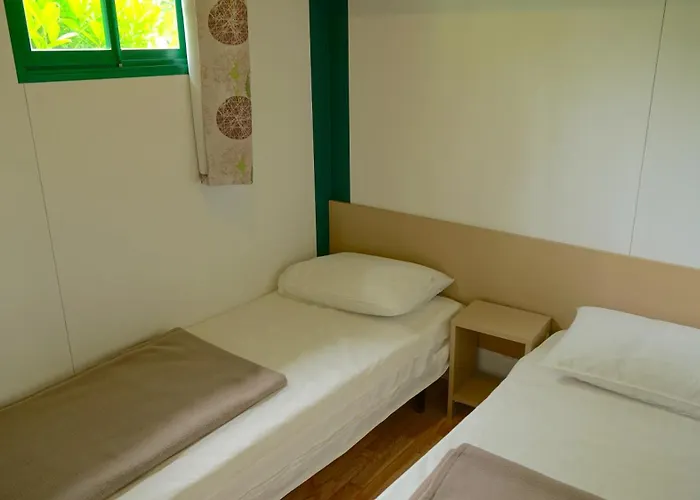 Camping Les Pins De La Coubre