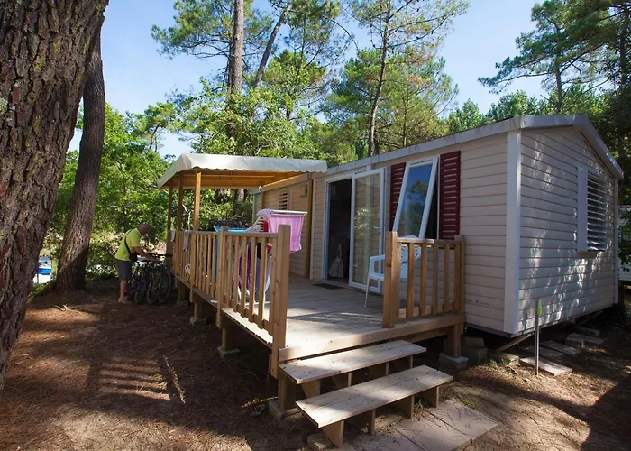 Les Pins De La Coubre Les Mathes