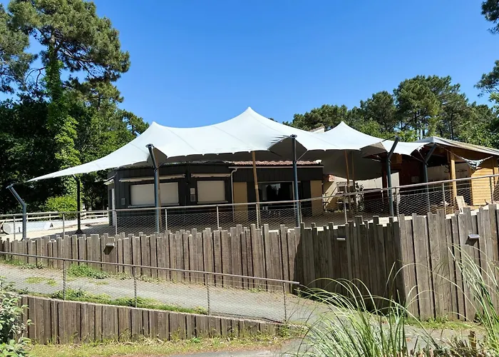 Camping Les Pins De La Coubre 3*